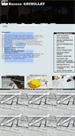 Mobile Screenshot of bureaugaudillat.com